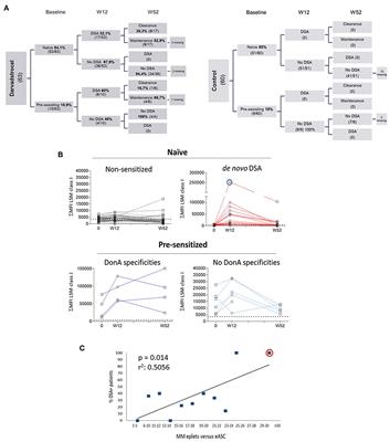 Dissecting Allo-Sensitization After Local Administration of Human Allogeneic Adipose Mesenchymal Stem Cells in Perianal Fistulas of Crohn's Disease Patients